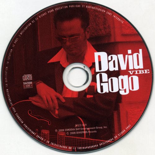 David Gogo - Vibe (2004)