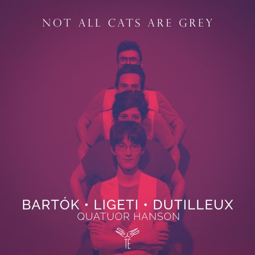 Quatuor Hanson - Not all cats are grey (2021) [Hi-Res]
