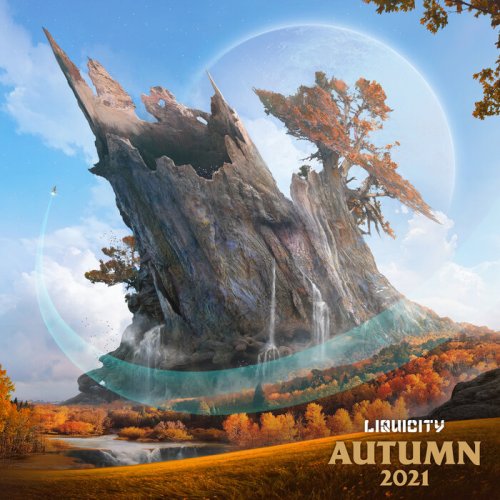 VA - Liquicity Autumn 2021 (2021)