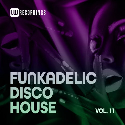 VA - Funkadelic Disco House, 11 (2021) FLAC