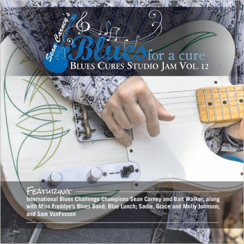 VA - Sean Carney's Blues For A Cure Blues Cures Studio Jam, Vol. 12 (2021)