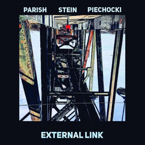 Shane Parish, Jason Stein, Danny Piechocki - External Link (2021) [Hi-Res]
