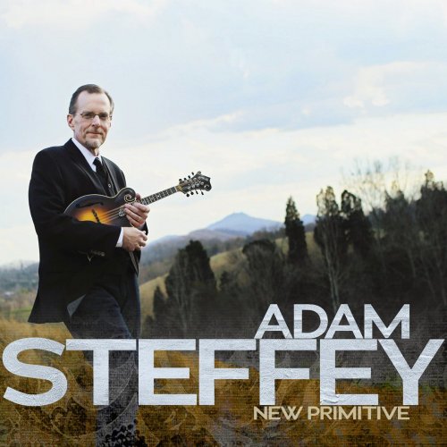 Adam Steffey - New Primitive (2013)