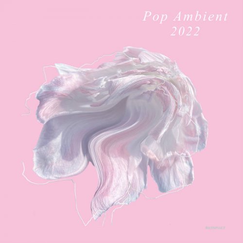 VA - Pop Ambient 2022 (2021)