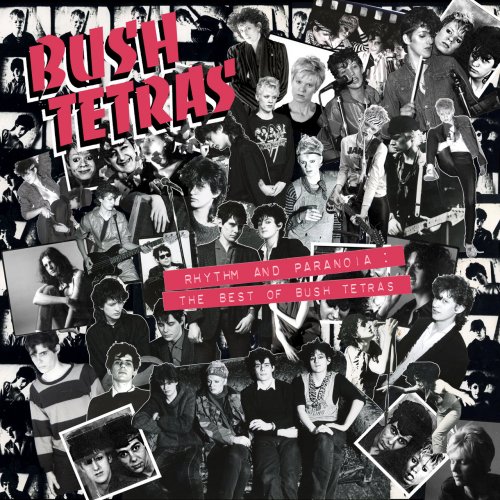 Bush Tetras - Rhythm and Paranoia: The Best of Bush Tetras (2021)