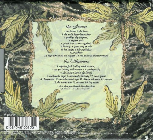 Amorphous Androgynous - The Isness & The Otherness (Limited Edition) (2004)