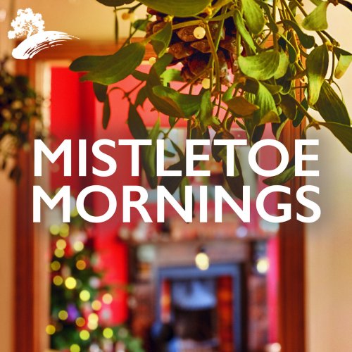 VA - Mistletoe Mornings (2021)