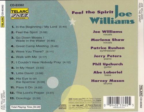 Joe Williams - Feel the Sprit (1995)