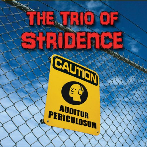 The Trio of Stridence - Auditur Periculosum (2013)