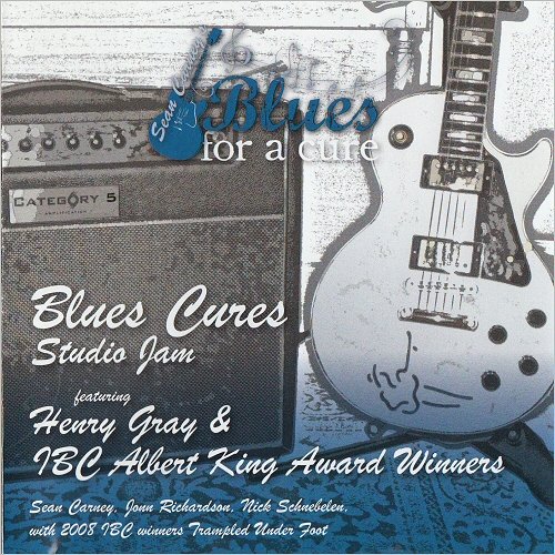 VA - Sean Carney's Blues For A Cure: Blues Cures Studio Jam Vol. 1 (2009) [CD Rip]