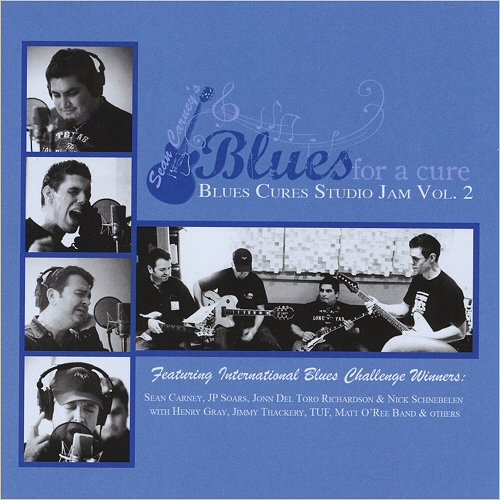 VA - Sean Carney's Blues For A Cure: Blues Cures Studio Jam Vol. 2 (2010)