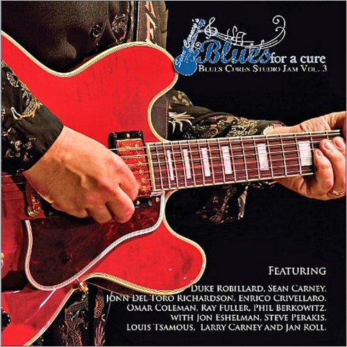 VA - Sean Carney's Blues For A Cure: Blues Cures Studio Jam Vol. 3 (2011)