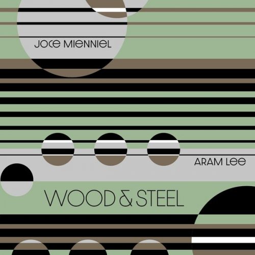 Joce Mienniel - Wood & Steel (2021)