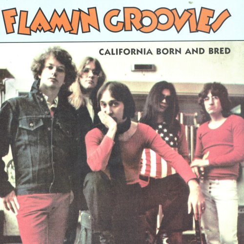 Flamin Groovies - California Born And Bred (1995)