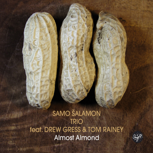 Samo Šalamon Trio feat. Drew Gress & Tom Rainey - Almost Almond (2011)