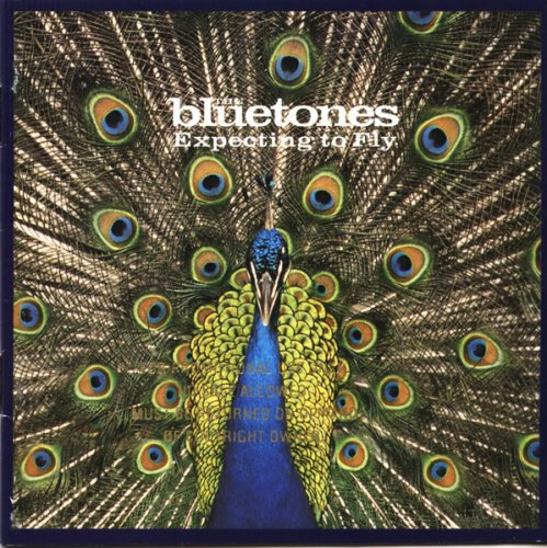 The Bluetones - Expecting To Fly (1996)