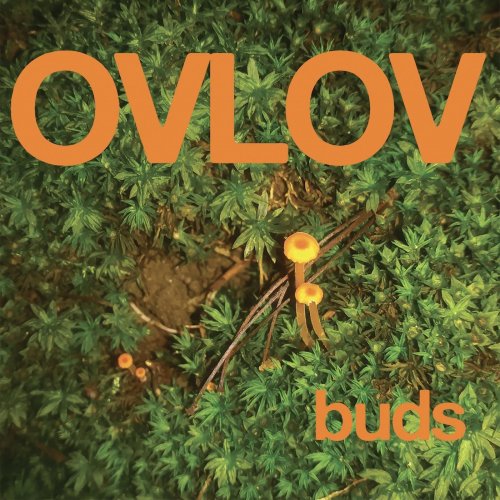 Ovlov - Buds (2021) Hi-Res