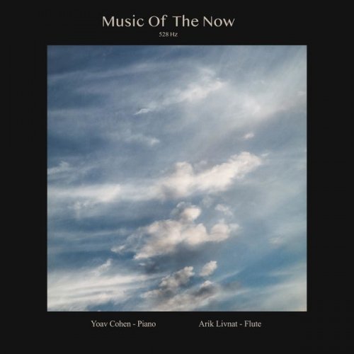 Yoav Cohen, Arik Livnat - Music Of The Now (2021) [Hi-Res]