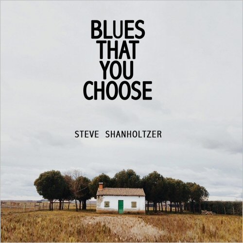 Steve Shanholtzer - Blues That You Choose (2021)