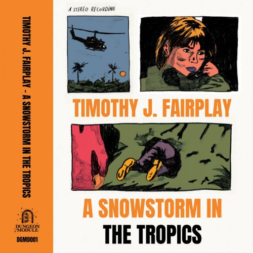 Timothy J. Fairplay - A Snowstorm In The Tropics (2021)