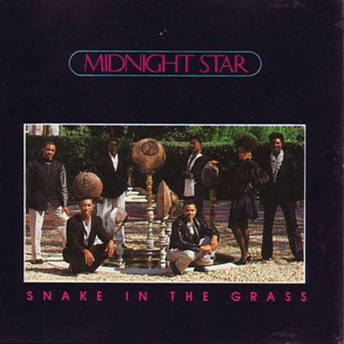 Midnight Star - Snake In The Grass (1989) 12"