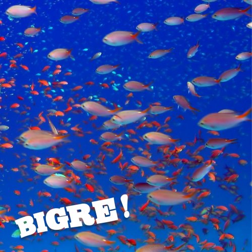 Bigre! - Bigre! (2008)