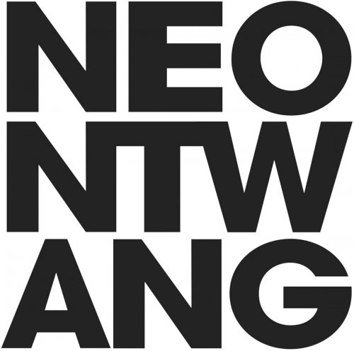 The Twang - Neontwang (2014)
