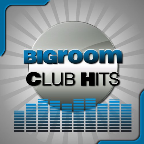 Bigroom Club Hits (2014)