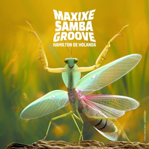 Hamilton de Holanda - Maxixe Samba Groove (2021) [Hi-Res]