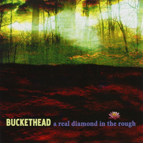 Buckethead - A Real Diamond In The Rough (2009) [.flac 24bit/44.1kHz]