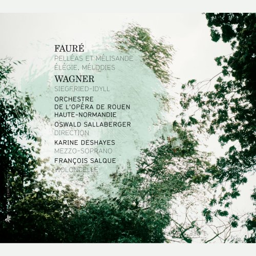 Karine Deshayes, François Salque, Oswald Sallaberger - Fauré: Pelléas et Mélisande, Élégie & Mélodies / Wagner: Siegfried-Idyll (2012)