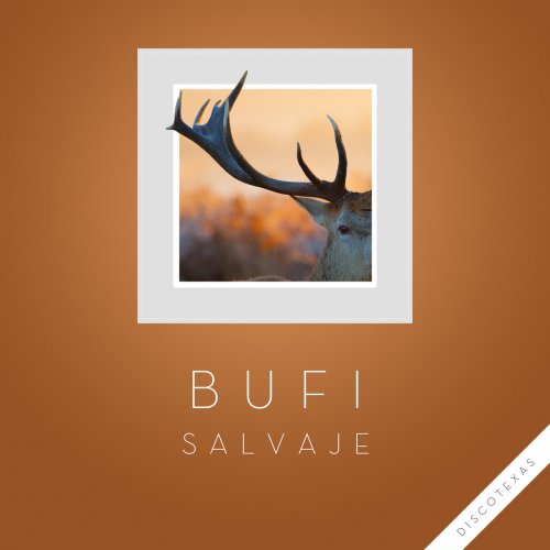 Bufi - Salvaje EP (2014)