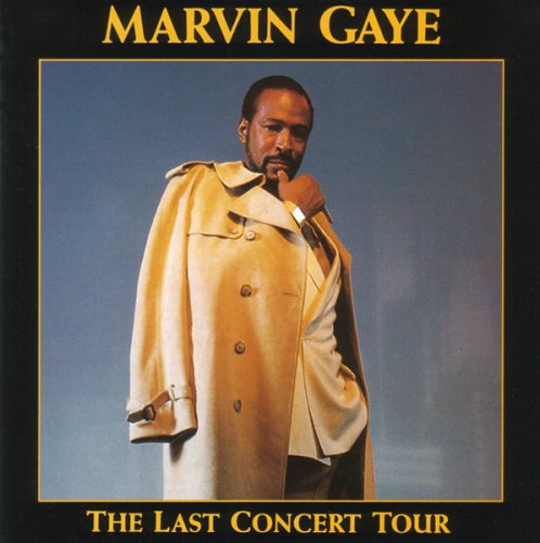 Marvin Gaye - The Last Concert Tour (1991)