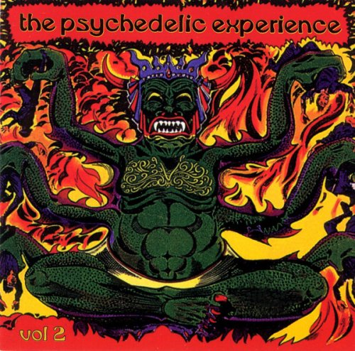 Various Artist  - The Psychedelic Experience Vol. 2 (1998)