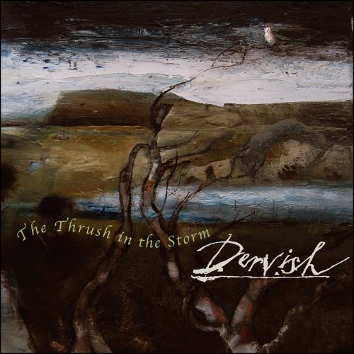 Dervish - The Thrush In The Storm (2013)