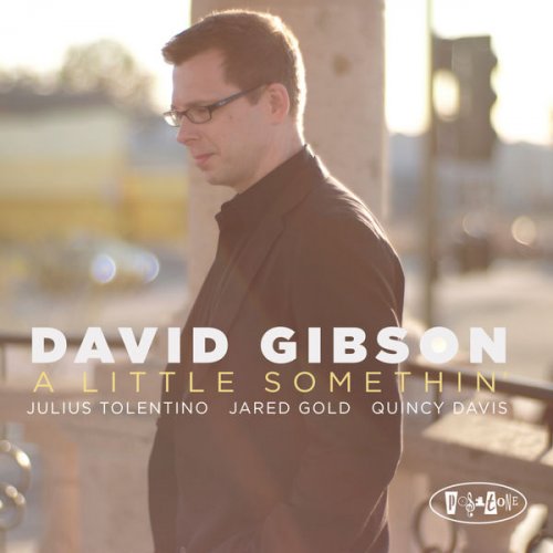 David Gibson - A Little Somethin' (2009) [.flac 24bit/44.1kHz]