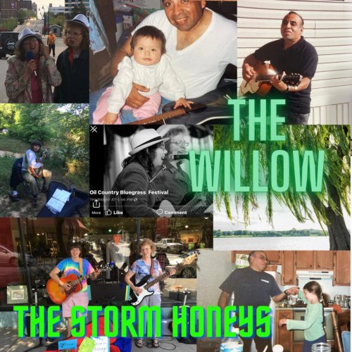 The Storm Honeys - The Willow (2022)