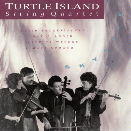 Turtle Island String Quartet - Skylife (1990)