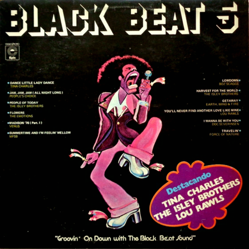 VA - Black Beat 5 (1976)