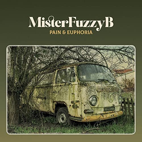 MisterFuzzyB - Pain & Euphoria (2022) Hi Res