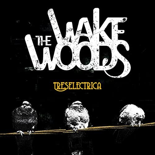 The Wake Woods - Treselectrica (2022) Hi Res