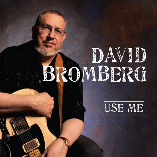 David Bromberg - Use Me (2011)