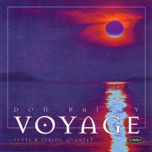 Don Bailey - Voyage (1999)