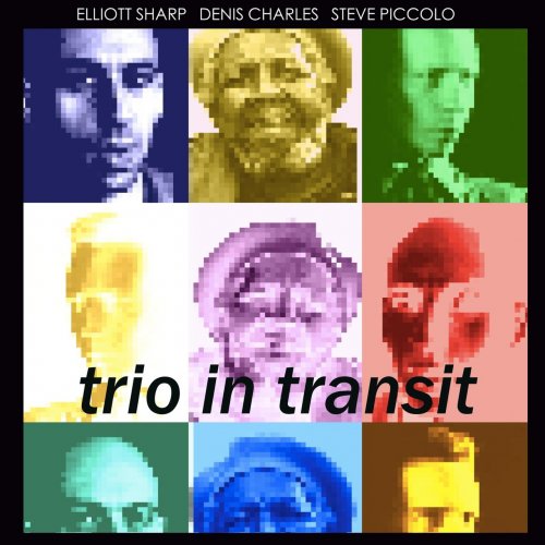 Elliott Sharp, Denis Charles, Steve Piccolo - Trio in Transit (Live) (2022)