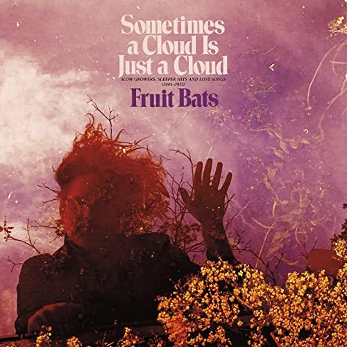 Fruit Bats - Sometimes a Cloud Is Just a Cloud: Slow Growers, Sleeper Hits and Lost Songs (2001–2021) (2022) Hi Res