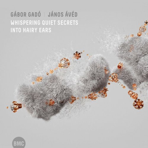 Gábor Gadó & János Ávéd - Whispering Quiet Secrets into Hairy Ears (2022)