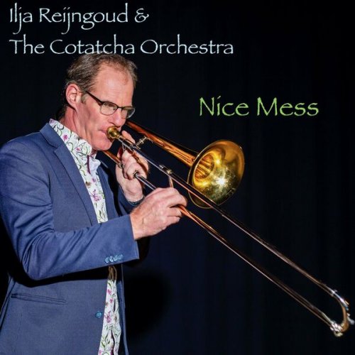 Ilja Reijngoud - Nice Mess (2022)