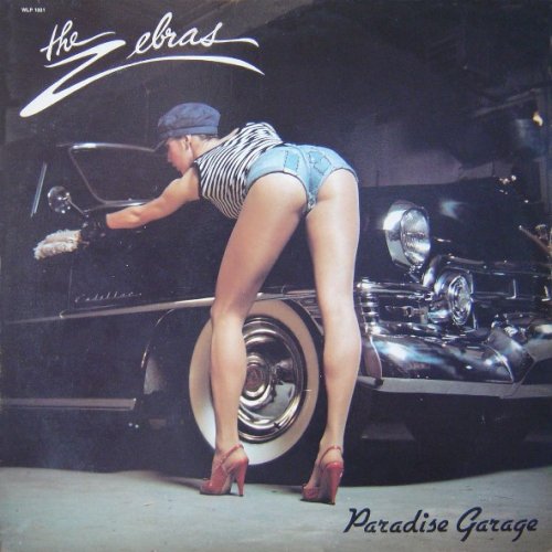 The Zebras - Paradise Garage (1980)