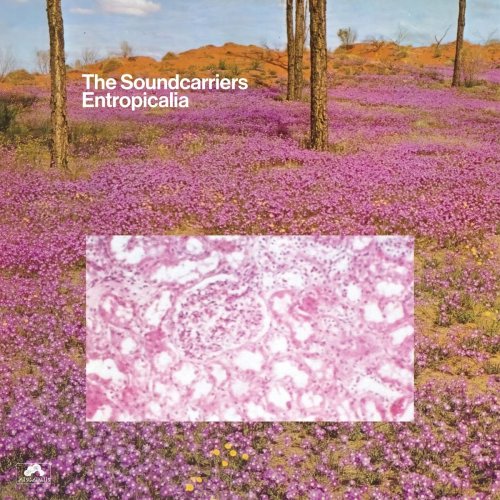 The Soundcarriers - Entropicalia (2014)