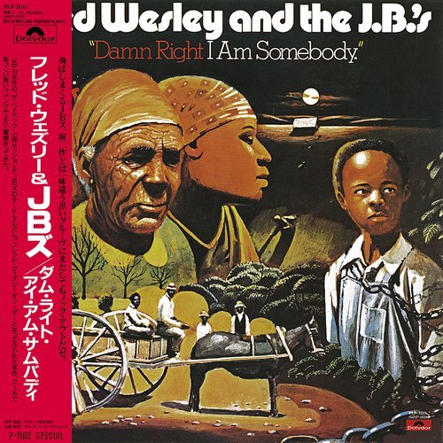 Fred Wesley & The J.B.'s - Damn Right I Am Somebody (1990) [24bit FLAC]